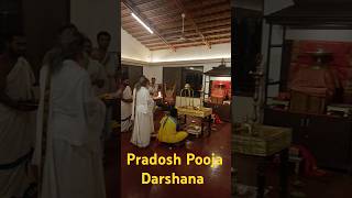 Gurudev at Pradosha Pooja today shiva artofliving rudram srisriravishankar [upl. by Younglove]