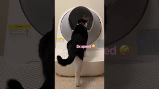 Cats First Impressions Upgraded Automatic Litter Box CATLINK [upl. by Eednyl524]