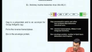 Mod08 Lec32 Eukaryotic protein expression systemsIII [upl. by Ahsienet]