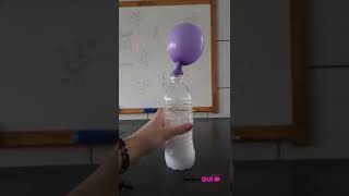 Enchendo um BALÃO SEM ASSOPRAR🎈  Experimento de química sobre REAÇÕES INORGÂNICAS [upl. by Keeryt76]