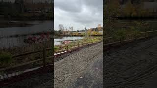 Chinook Wind Estuary Tukwila WA [upl. by Ainehta]