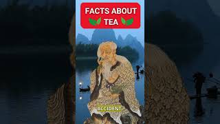 Facts About Tea facts interestingfacts tea viralvideo [upl. by Francois]