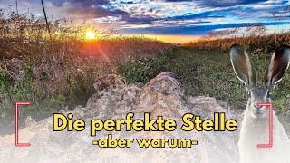 Warum ist genau dies eine gute Stelle [upl. by Enirol]