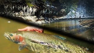 Finding Spring Steelhead Trout in TINY Creeks Fly Fishing amp Centerpin [upl. by Haisa]