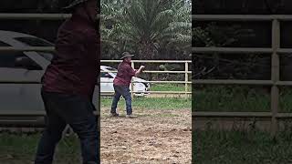 TROMPILLOS shortvideo caballos vaqueros horse rodeo caballoscorriendo [upl. by Dinsdale201]