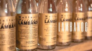 Lambanog  Mallari Distillery Tayabas  Philippine Coconut Vodka [upl. by Lang]