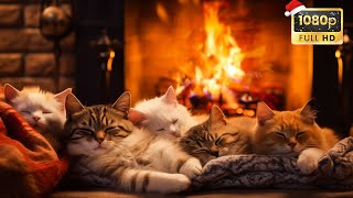 Relaxing To Purring Cats And Cozy Fireplace for Peaceful Night 🔥 Deep Sleep Relax Study [upl. by Marwin]