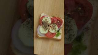 Healthy Sandwich for Weight Loss 😋😍 [upl. by Nilkcaj]