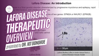 What are treatment options for Lafora Disease  Lafora Disease Therapeutic Overview [upl. by Kyre]