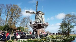 Keukenhof 2016 [upl. by Alonzo]