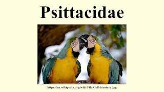 Psittacidae [upl. by Gruchot]