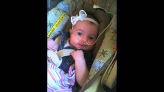 Second CDH Baby Nadias Journey [upl. by Anaert]