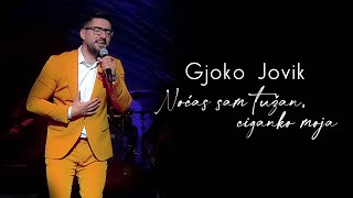 Gjoko Jovik amp orkestar Borka Radivojevića  Noćas sam tužan ciganko moja [upl. by Anaujahs314]