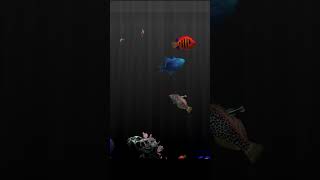 quotBehind Glassquot aquarium game  saltwater tank [upl. by Ahgiel]