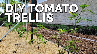 3 DIY Tomato Trellis Ideas Perfect for ANY Budget 🍅 [upl. by Arline]