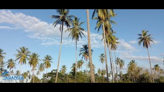 Venta de Lotes Frente al Mar de Buritaca en Santa Marta Colombia [upl. by Maxentia]