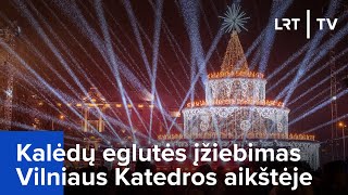 Kalėdų eglutės įžiebimas Vilniaus Katedros aikštėje  20231201 [upl. by Elga]