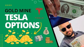 Tesla Options What a Gold Mine [upl. by Colan]