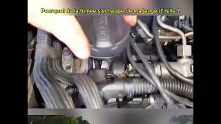 POURQUOI de la FUMEE séchappe du moteur DIAGNOSTIC [upl. by Negaem700]