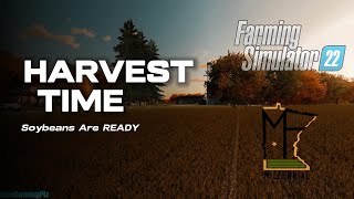 MN Millennial Farmer  Farming Simulator 22  BIG Harvest Time [upl. by Washington]