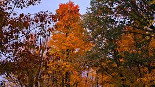 The Most Incredible Fall Colors In Canada [upl. by Orna]