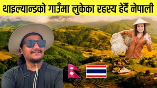 थाइल्यान्डको गाउँमा घाँस काट्ने अनौठो मेसिन  Thailand to Cambodia  World Tour  Ep07 🇹🇭 [upl. by Roanne]