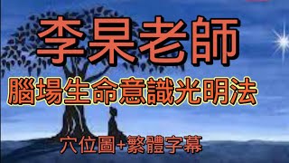 李杲老師 腦場生命意識光明法（繁體字幕➕穴位圖） [upl. by Lativa]