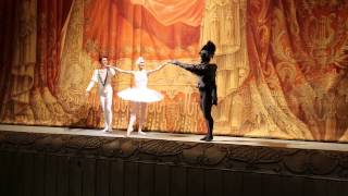 Ivan Vasiliev Curtain call quotSwan Lakequot 7052015 [upl. by Marih]