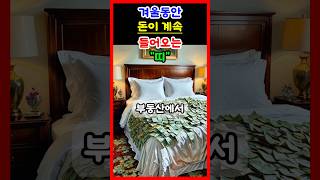 운세 겨울 동안 돈이 계속 들어오는 띠 운세 띠별운세 대박운세 재물운 금전운 겨울 [upl. by Eniarrol]