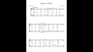 Repose 8 3s amp 6  SATB [upl. by Fesoj]