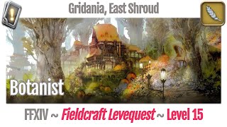 FFXIV Botanist Leves Level 15  Gridania East Shroud  A Realm Reborn [upl. by Rosa]