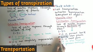 Transpiration And Its Types  Stomatal Lenticular And Cuticular Transpiration  Class 11 [upl. by Ettenim961]