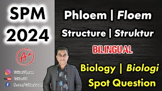 Phloem  Floem  2023 SPM Biologi  Biology  Soalan Ramalan  Spot Question  Bilingual [upl. by Armin]