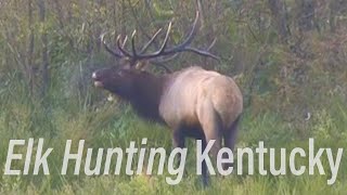 Elk Hunting Kentucky Eastmans’ Hunting TV [upl. by Akiria]