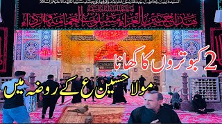 Mola hussain as k rozy mein kabotron ka khana subhan allah live manazir from karbala ziyarat mola HD [upl. by Imefulo]