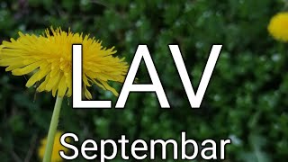 LAV HOROSKOP SEPTEMBAR 🌈  Prognoza i Upozorenja [upl. by Ecined492]