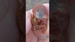 🎆 Firework Agate 🎆 agate rockhounding geology rocks nature youtubeshorts [upl. by Marge515]