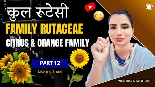 कुल रूटेसी  Family Rutaceae  Citrus family  Orange family  Part 12 [upl. by Eiryt538]