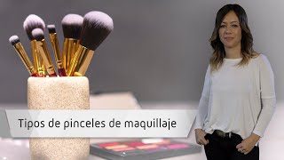 ¿Para qué sirve cada BROCHA de MAQUILLAJE 💄 Tipos de pinceles [upl. by Sualohcin]