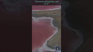 Discover Lake Natron The Toxic Lake of Tanzania [upl. by Noimad]