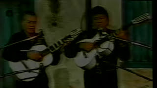 Tonico e Tinoco  Porque Programa Na Beira da Tuia  1983 [upl. by Coh]