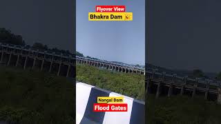 Bhakra Nangal Dam🎉Flood Gates💞 trending dam viral video [upl. by Elleinet]