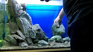 200 liters New Malawi Tank setup  Demasoni amp Interruptus [upl. by Nivaj]