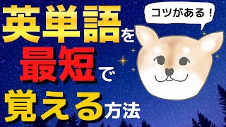 最短で確実に英単語を覚える勉強法３ステップ｜英語脳を育てる秘訣は単語学習にあった！ [upl. by Onitnatsnoc]