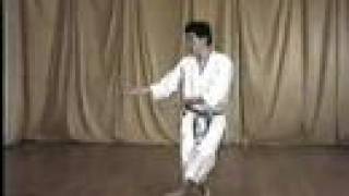 Goju Shi Ho Sho Ohta Sensei by1000MOSHT [upl. by Ecerahs407]