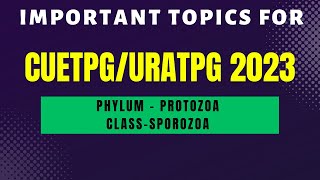 Class Sporozoa Phylum  Protozoa  UratpgCUETPG 2023 zoology  Mudgalbiology [upl. by Noiroc]