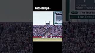 Craziest crowd reaction  Ben stokes  Headingley Test 2019  Quick gamerz cricket viral shorts [upl. by O'Toole388]