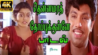 தென்னமர தோப்புக்குள்ளே குயிலேThennamara Thopukule Duet  SJanaki S P BLove Duet H D Song [upl. by Zil454]