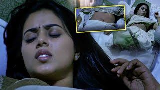 Shamna Kasim amp Harshvardhan Rane Telugu Ultimate Bedroom Scene  Kotha Cinema [upl. by Dnaletak]