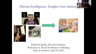 Liz Spelke Human Intelligence Insights from Infants [upl. by Ical]